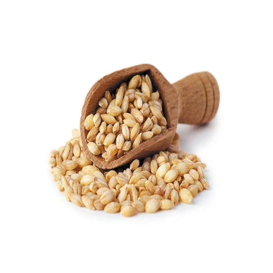 whole-barley-grain-2.webp