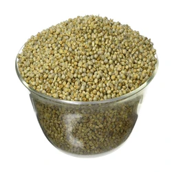 Natural Bajra Seed