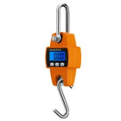 Crane Weighing Machine
