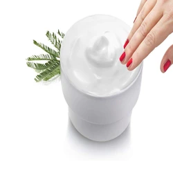 Lanette Emulsifying Wax