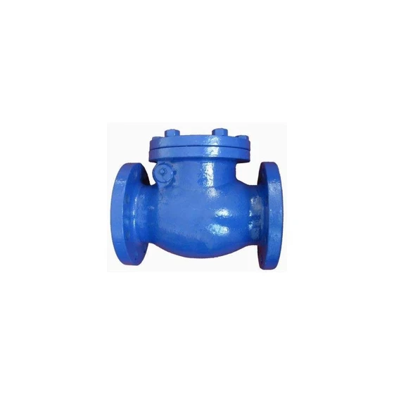 non-return-valve-blue-cast-iron-1.webp