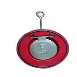 Ci Non SS Disk Valve, Stainless steel, 150mm size