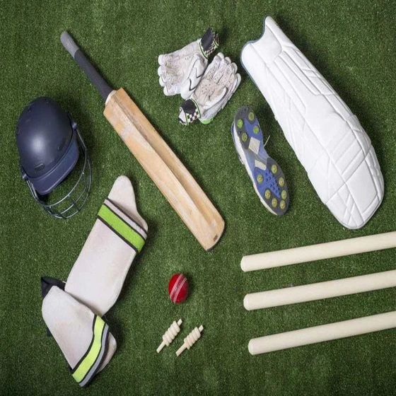 cricket-luxe-pitch-2.webp