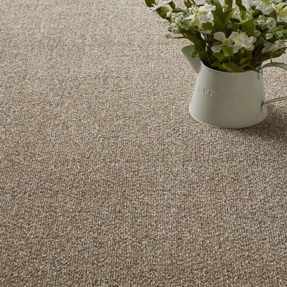 beige-carpet-flooring-1.webp