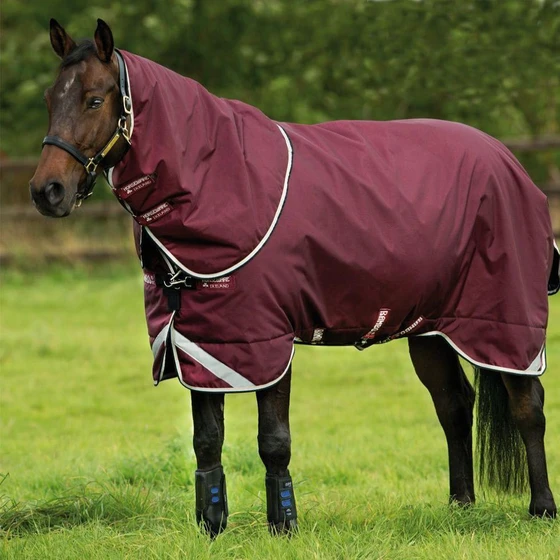 rugs-winter-horse-2.webp