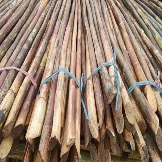 bamboo-natural-cane-2.webp