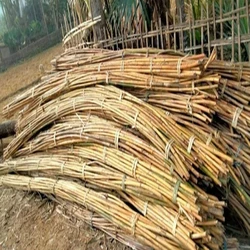 Bamboo Natural Cane