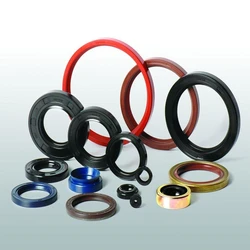 Oil Seal