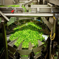 Vegetable Processing Plant