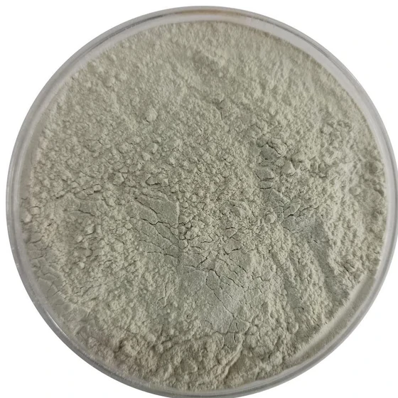 gypsum-powder-2.webp