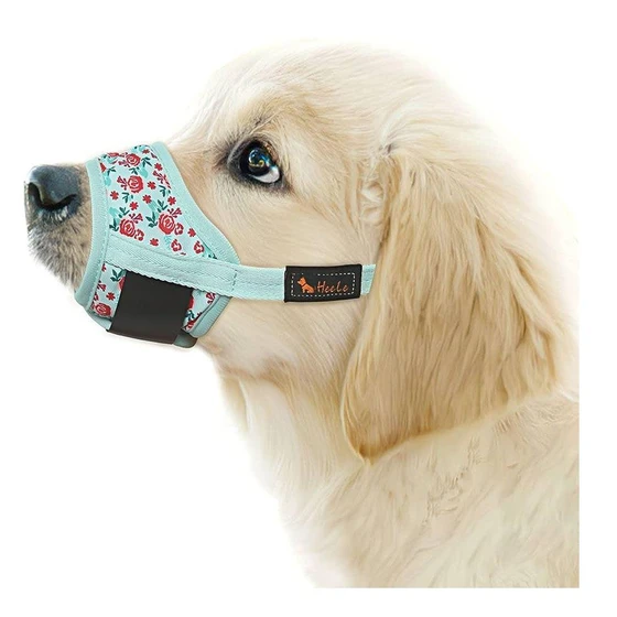 dog-muzzle-2.webp