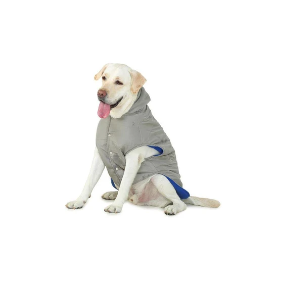 dog-jacket-1.webp