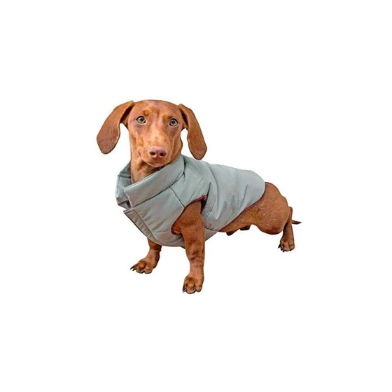 dog-jacket-2.webp