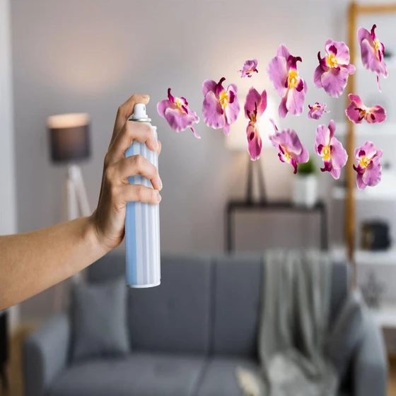 air-freshner-2.webp