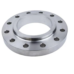 Stainless Steel DIN Flanges