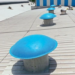 Industrial Roof Extractor 