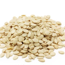 Swati Watermelon Seeds