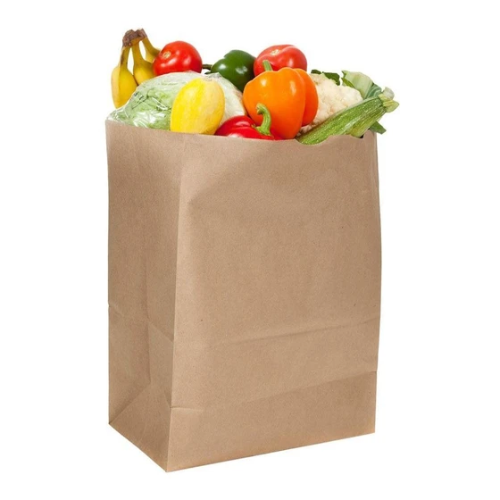 paper-grocery-bag-1.webp