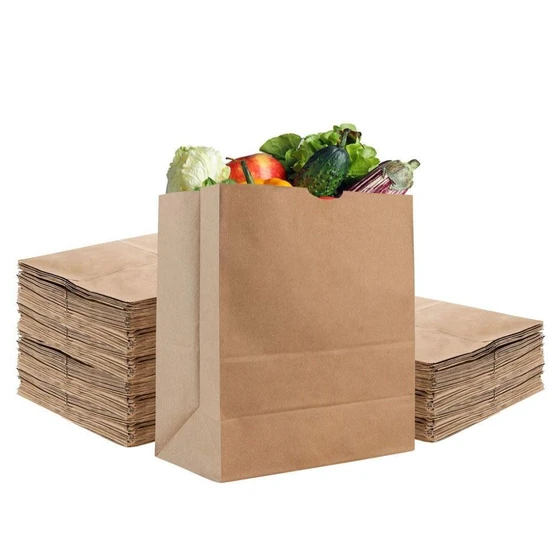 paper-grocery-bag-2.webp