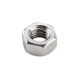 Ss Hex Nuts