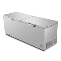 Double Door Chest Freezer