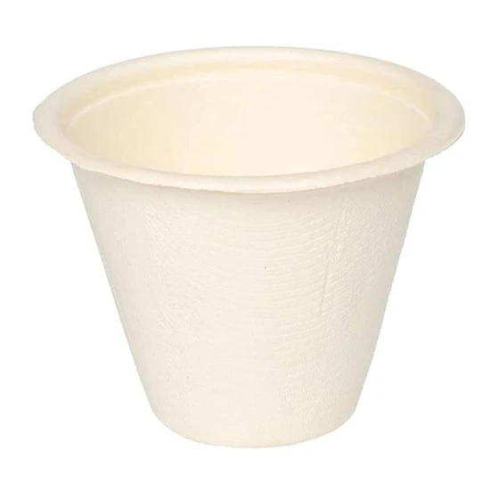 disposable-sugarcane-cup-1.webp