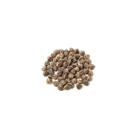 natural-moringa-seed-2.webp