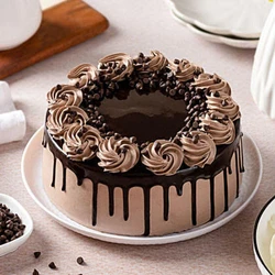Fresh Chocolate Cake