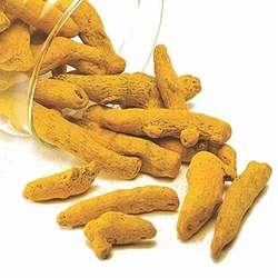 Yellow Turmeric Finger 