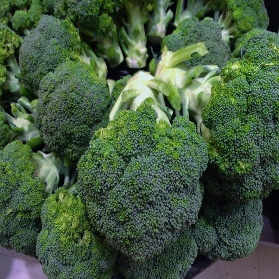 fresh-natural-broccoli-2.webp