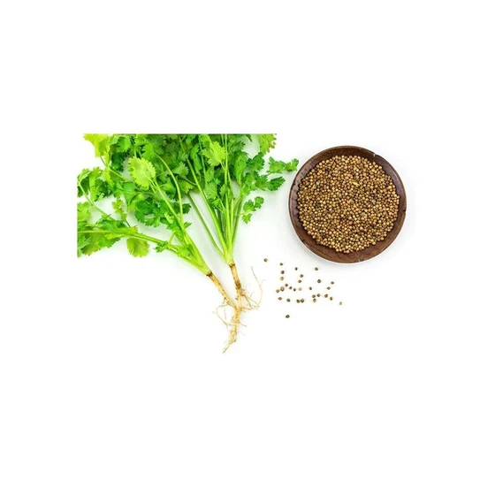 coriander-vegetable-seed-1.webp