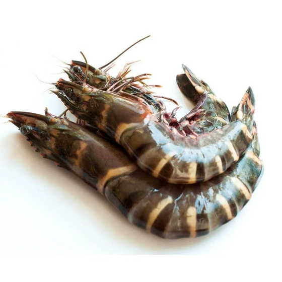fresh-whole-prawn-2.webp