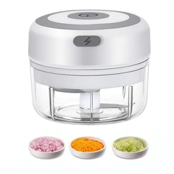 Usb Portable Chopper