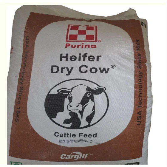 heifer-dry-cow-cattle-feed-2.webp