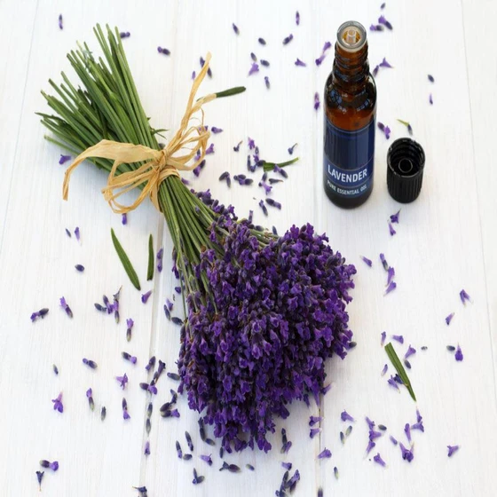 lavender-essential-oils-1.webp