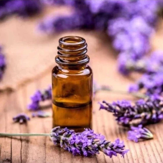 liquid-lavender-oil-1.webp