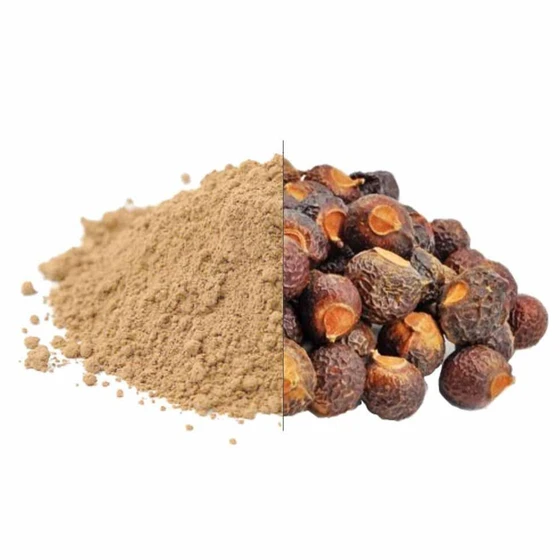 soapnut-shell-powder-1.webp
