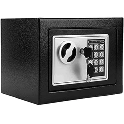 Digital Electronic Safes