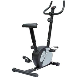 Exercise Magnetic Upright