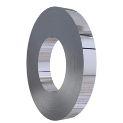 Thin Steel Strips