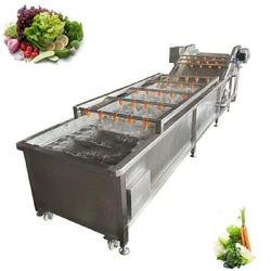 Fruit Washing Machine