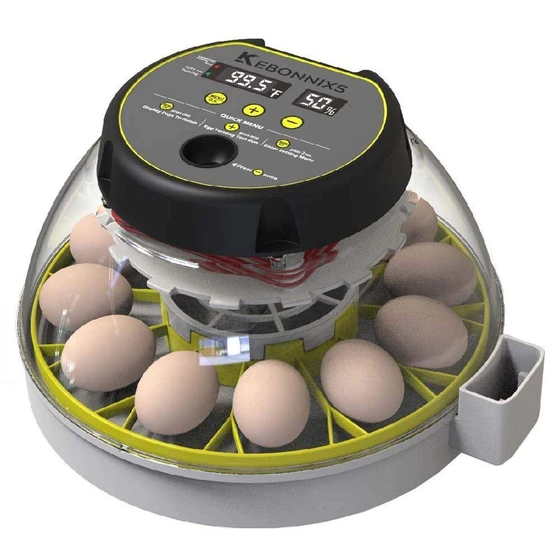 chicken-egg-incubator-1.webp