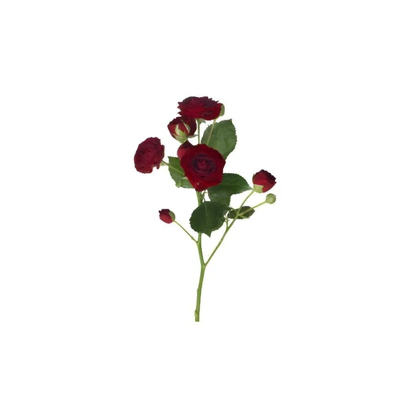 black-magic-fresh-roses-2.webp