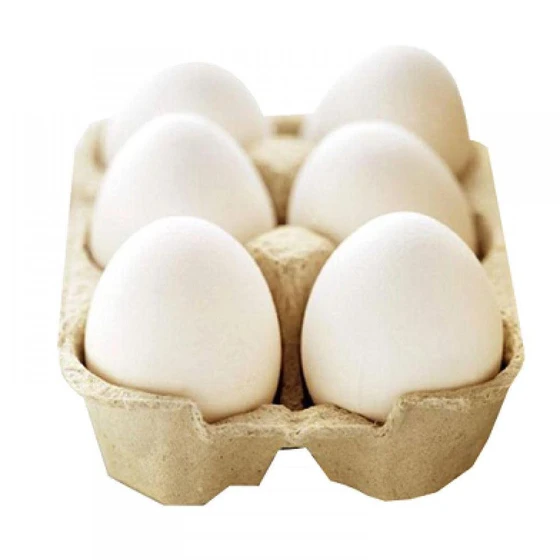 chicken-white-eggs-1.webp