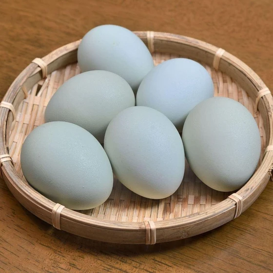 chicken-white-eggs-2.webp