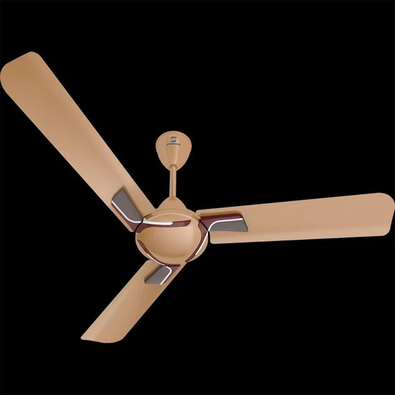 designer-ceiling-fan-2.webp