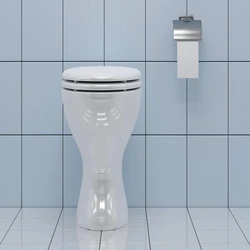 Toilet Automatic Flush