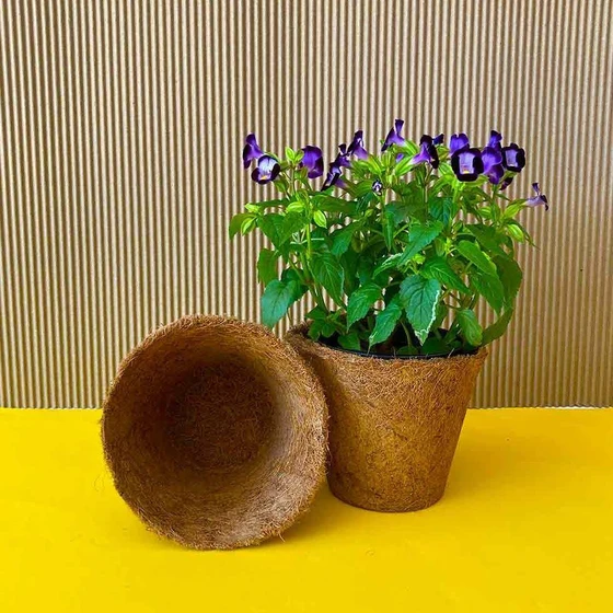 coir-garden-pot-2.webp