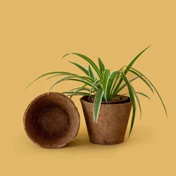 Coir Garden Pot