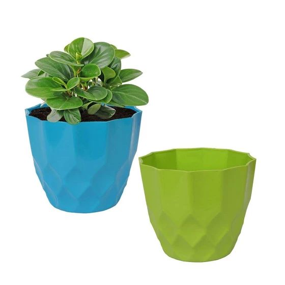 flower-plant-bucket-1.webp